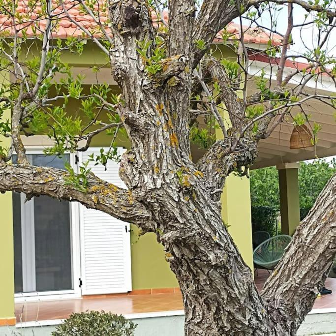 Mnf Country House Agios Georgios  Exterior foto